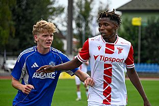  autor: Martin Kramsk