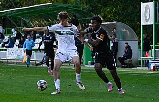  autor: Martin Kramsk